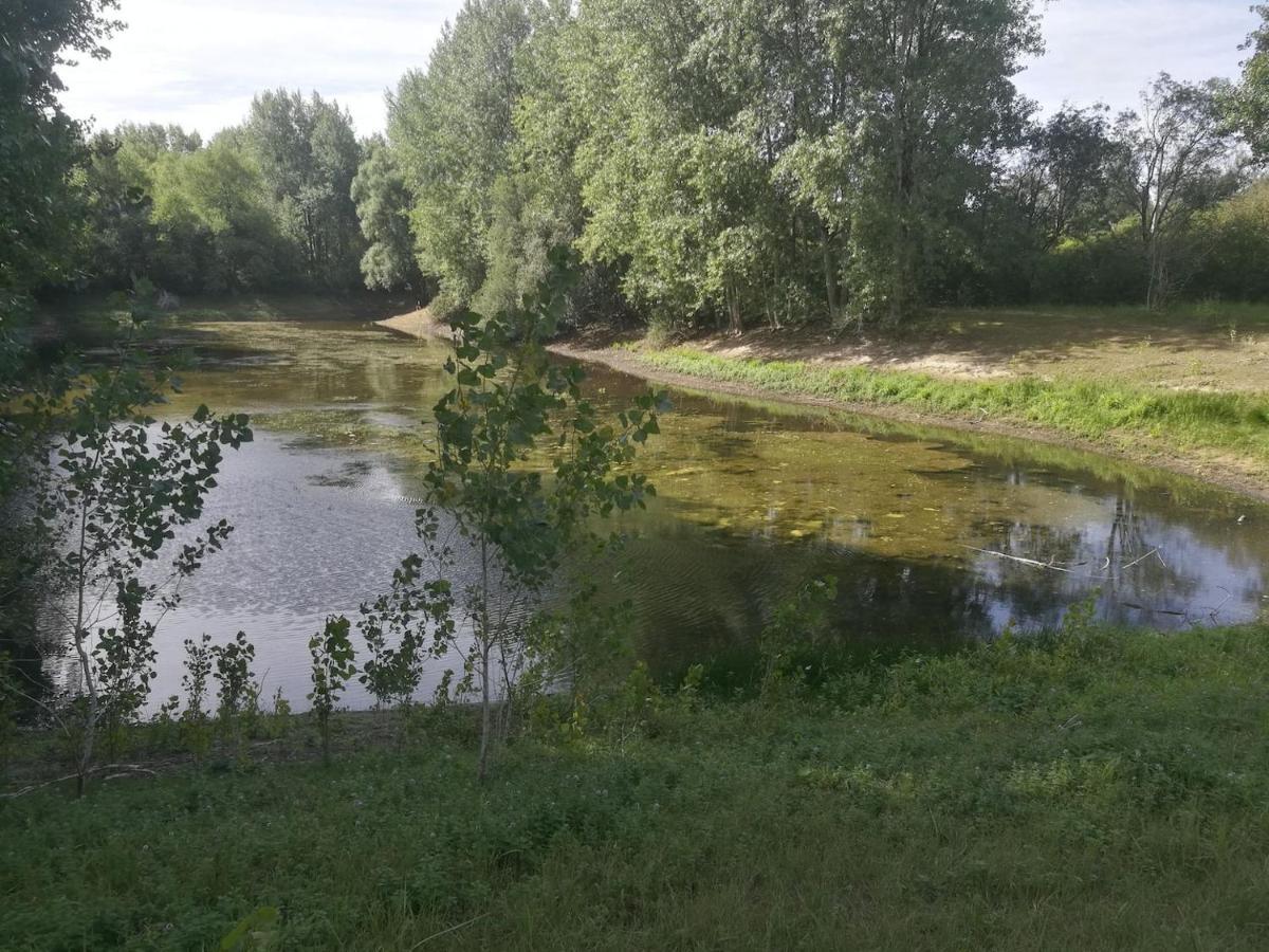 La Dune Blanche Camiers Zewnętrze zdjęcie